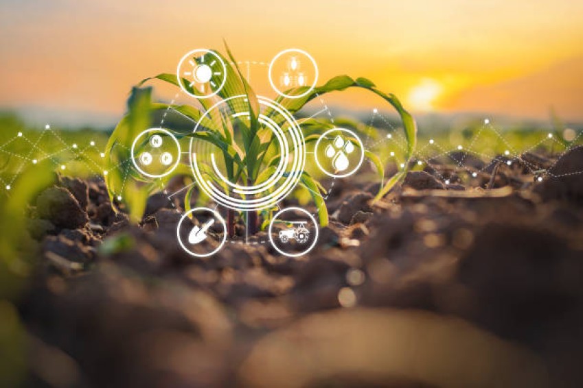 As novas tecnologias e as negociações de grãos produzidos no Brasil As novas tecnologias e as negociações de grãos produzidos no Brasil