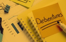 Debêntures e seu papel no acesso ao crédito. Debêntures e seu papel no acesso ao crédito.